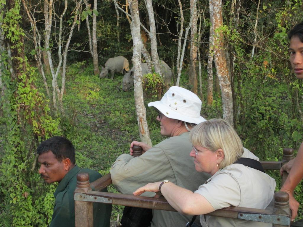 Temple Tiger Green Jungle Resort Kawasoti Dış mekan fotoğraf
