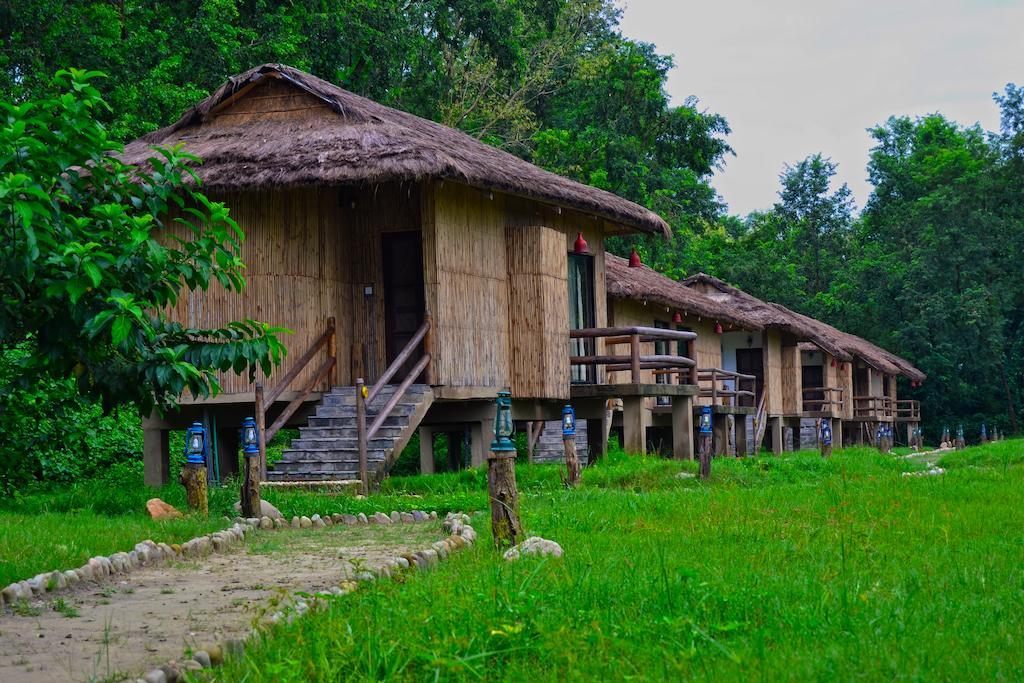 Temple Tiger Green Jungle Resort Kawasoti Oda fotoğraf