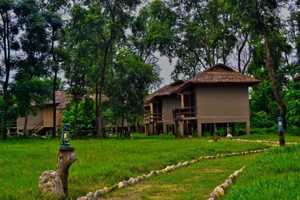 Temple Tiger Green Jungle Resort Kawasoti Dış mekan fotoğraf
