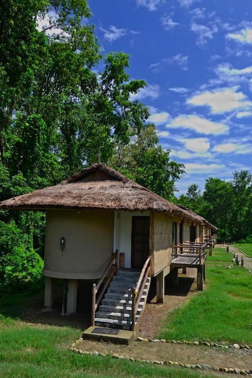 Temple Tiger Green Jungle Resort Kawasoti Oda fotoğraf